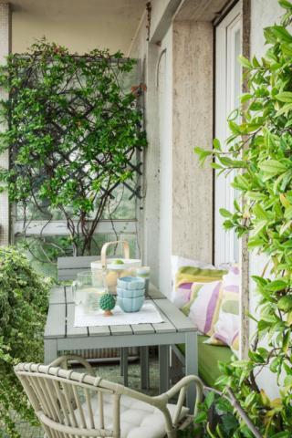 Dividersi dal vicino
Capita spesso di avere un balcone che corre lungo tutta la casa e che confina con quello del vicino. Basta dividerlo bene per creare la propria privacy: una griglia con un rampicante sempreverde è la soluzione più semplice e d’effetto. Poi, anche se il bancone misura meno di 1 metro di larghezza, non si deve rinunciare a un tavolo dove fare l’aperitivo, chiacchierare al telefono o leggere il caffè al mattino.
L’idea: per sfruttare meglio lo spazio lungo e stretto è stata costruita una panca nel vano della finestra. Rivestita con tanti cuscini diventa anche molto comoda da usare! Dividersi dal vicino
Capita spesso di avere un balcone che corre lungo tutta la casa e che confina con quello del vicino. Basta dividerlo bene per creare la propria privacy: una griglia con un rampicante sempreverde è la soluzione più semplice e d’effetto. Poi, anche se il bancone misura meno di 1 metro di larghezza, non si deve rinunciare a un tavolo dove fare l’aperitivo, chiacchierare al telefono o leggere il caffè al mattino.
L’idea: per sfruttare meglio lo spazio lungo e stretto è stata costruita una panca nel vano della finestra. Rivestita con tanti cuscini diventa anche molto comoda da usare!