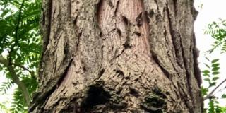 NaturaViva – Hortus Conclusus NaturaViva – Hortus Conclusus