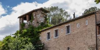 Forme nel verde (1971-2021) 50.ma Edizione Forme nel verde (1971-2021) 50.ma Edizione
