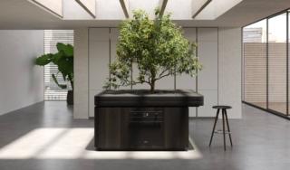 La cucina monoblocco multifunzione Oasi di Aran Cucine, design Stefano Boeri, si sviluppa circolarmente intorno ad un albero e permette di svolgere tutte le funzioni legate al cibo, dalla conservazione alla preparazione fino al consumo e al riciclo. Il top si amplia trasformandosi in tavolo da pranzo grazie allo scorrimento di due ali. Lo spazio interno ospita i vani per la dispensa e gli elettrodomestici e un sistema di irrigazione per la pianta. Le ante sono nella raffinata finitura Rovere Ossidato (legno di recupero completamente naturale) e il top è in Corian. www.arancucine.it La cucina monoblocco multifunzione Oasi di Aran Cucine, design Stefano Boeri, si sviluppa circolarmente intorno ad un albero e permette di svolgere tutte le funzioni legate al cibo, dalla conservazione alla preparazione fino al consumo e al riciclo. Il top si amplia trasformandosi in tavolo da pranzo grazie allo scorrimento di due ali. Lo spazio interno ospita i vani per la dispensa e gli elettrodomestici e un sistema di irrigazione per la pianta. Le ante sono nella raffinata finitura Rovere Ossidato (legno di recupero completamente naturale) e il top è in Corian. www.arancucine.it