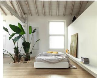 Ha i piedi in legno nella finitura natural e il rivestimento in tessuto Panama bianco il modello Sommier di Noctis che è dotato del pratico contenitore Folding Box. Misura L 171 x P 211 x H 38 cm. Prezzo 1.380 euro. www.noctis.it