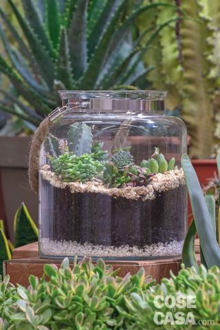 terrarium terrarium