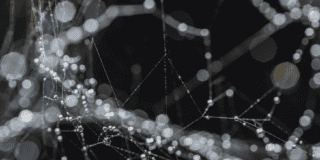 Tomás Saraceno. AnarcoAracnoAnacro Tomás Saraceno. AnarcoAracnoAnacro