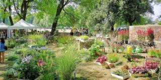 Murabilia, la mostra di giardinaggio di Lucca inaugura domani