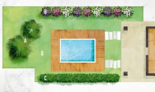 piante-intorno-alla-piscina piante-intorno-alla-piscina