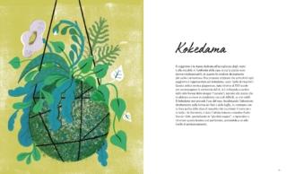 La casa verde kokedama La casa verde kokedama