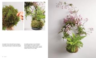 La casa verde kokedama foto La casa verde kokedama foto