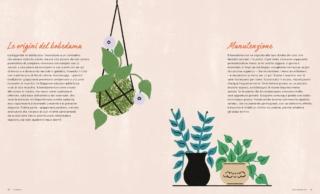 La casa verde kokedama storia La casa verde kokedama storia