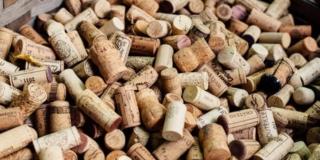 SUG_HERO – Metaforme – Le mille vite di uno straordinario dono della natura, il sughero SUG_HERO – Metaforme – Le mille vite di uno straordinario dono della natura, il sughero