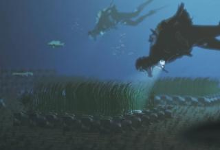 Di Francesco Maria Lucini, REDDO: materiale realizzato con gusci di ostriche riciclate. IED BARCELONA Di Francesco Maria Lucini, REDDO: materiale realizzato con gusci di ostriche riciclate. IED BARCELONA