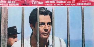 Marcello, come here! Marcello, come here!