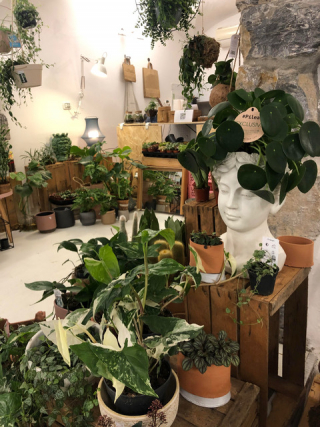 Common Place a Genova