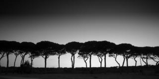 L’imbrunire. Roma e altrove L’imbrunire. Roma e altrove