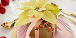 Segnaposto con la Stella di Natale