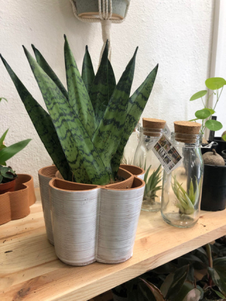 vaso 3D di Common Place