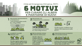L'infografica di PEFC Italia che evidenzia i 6 motivi per piantare e curare alberi in città