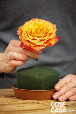 Prendere la rosa più bella e inserirle al centro della parte superiore della spugna. Prendere la rosa più bella e inserirle al centro della parte superiore della spugna.