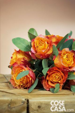 le foglie di Eucaliptus che spuntano tra le rose e delicatamente le accompagnano le foglie di Eucaliptus che spuntano tra le rose e delicatamente le accompagnano