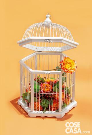 rose-in-gabbia rose-in-gabbia