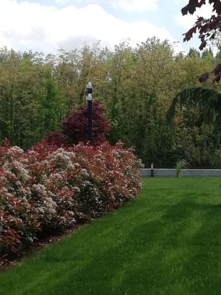 Telecamere Dome Antivandalo 1099/462 di Urmet