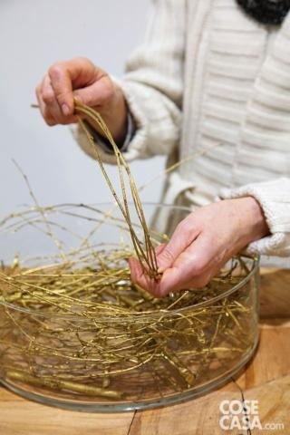 Tagliare con le cesoie i rami di betulla dorata in parti lunghe circa la metà della circonferenza del contenitore Tagliare con le cesoie i rami di betulla dorata in parti lunghe circa la metà della circonferenza del contenitore