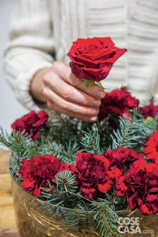 Introdurre tutte le rose ‘Red Naomi’ in modo equilibrato Introdurre tutte le rose ‘Red Naomi’ in modo equilibrato