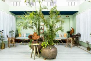 tendenze 2022 stile botanico tendenze 2022 stile botanico