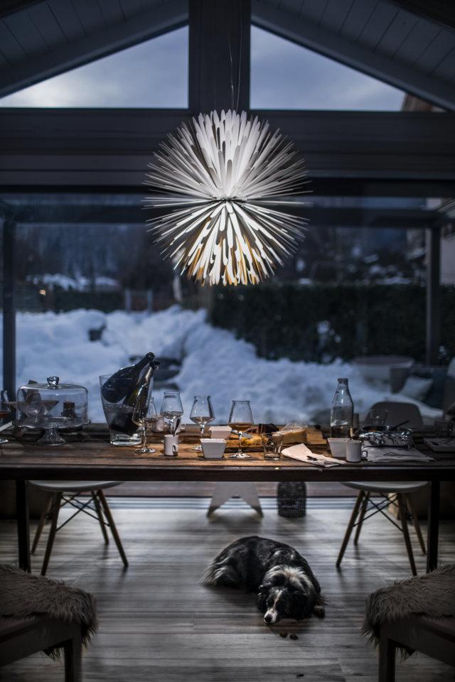 Vite di Foscarini Vite di Foscarini