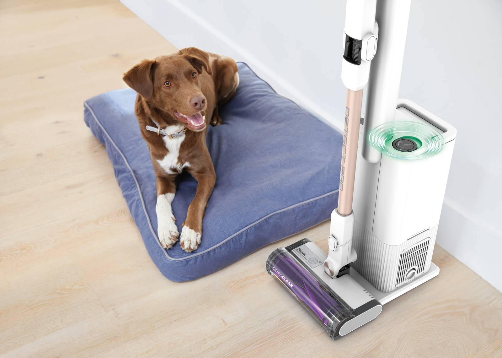 L’aspirapolvere senza filo Shark Detect Pro IW3611EU ha una base di svuotamento automatico dotata di un sistema anti-allergeni, ideale per catturare allergeni comuni e mantenere l’aria più pulita. Inoltre, la tecnologia Odour Neutralizer contribuisce a neutralizzare eventuali cattivi odori, assicurando un ambiente fresco durante la pulizia. Ha autonomia fino a 60 minuti, display a LED, rullo spazzola multi superficie e tecnologia antigrovigli che rimuove i peli dal rullo spazzola durante la pulizia. Prezzo 399,99 euro. www.sharkclean.it L’aspirapolvere senza filo Shark Detect Pro IW3611EU ha una base di svuotamento automatico dotata di un sistema anti-allergeni, ideale per catturare allergeni comuni e mantenere l’aria più pulita. Inoltre, la tecnologia Odour Neutralizer contribuisce a neutralizzare eventuali cattivi odori, assicurando un ambiente fresco durante la pulizia. Ha autonomia fino a 60 minuti, display a LED, rullo spazzola multi superficie e tecnologia antigrovigli che rimuove i peli dal rullo spazzola durante la pulizia. Prezzo 399,99 euro. www.sharkclean.it