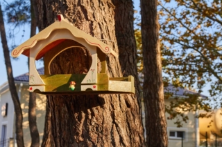 casetta per uccellini casetta per uccellini