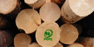 legno logo PEFC albero Natale