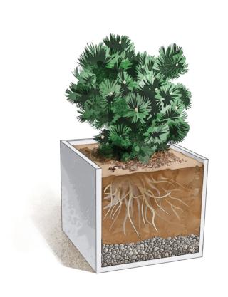 vaso per conifere vaso per conifere