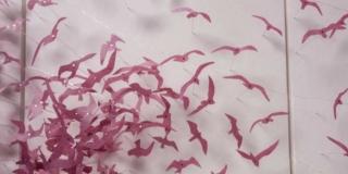 Federica Cipriani – Impronte nel vento Federica Cipriani – Impronte nel vento