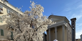 Biella Riva, Mercatino Antiquariato