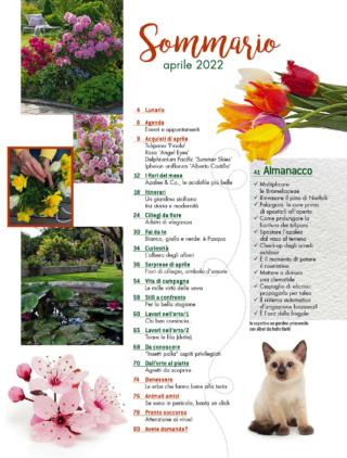 CIF04_sommario CIF04_sommario