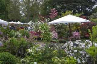 tre giorni per il giardino tre giorni per il giardino
