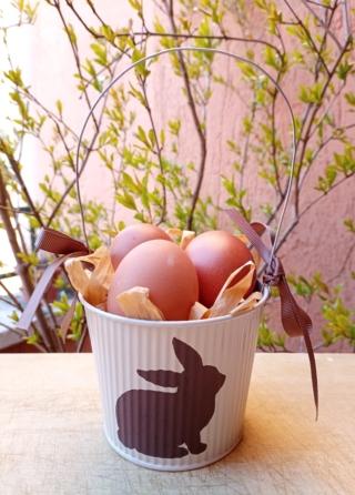 Inserite della finta paglia e posizionate le uova.