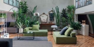 Arredato con le piante: un moderno loft con soggiorno declinato in verde
