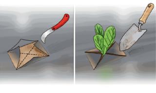 trapianti telo nero trapianti telo nero