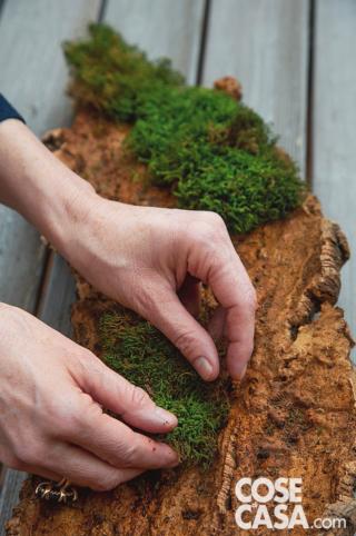 Distribuire all’interno tutto il muschio Distribuire all’interno tutto il muschio