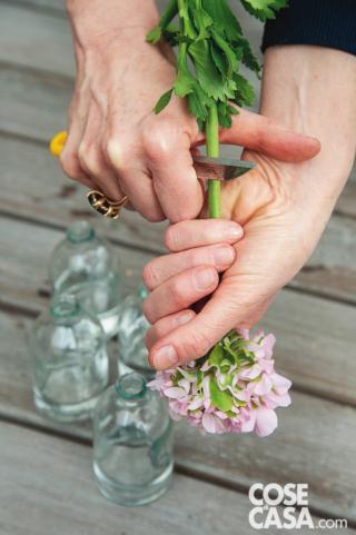 tagliare gambi tagliare gambi