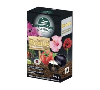 Il Paese Verde Brave Crescita Sana Il Paese Verde Brave Crescita Sana