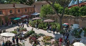 Algranti Lab a Floracult Algranti Lab a Floracult