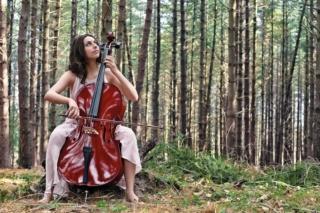 legno foreste sostenibilità serramenti Sidel