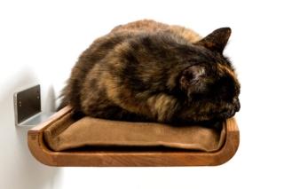 cat kennel shelf solid oak cushion microfiber brown throne brand design cat kennel shelf solid oak cushion microfiber brown throne brand design