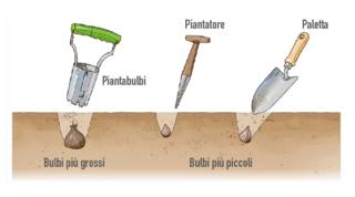 piantabulbi piantabulbi