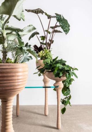 AHEC_Forest-Tales_Stem-016_by-Thomas-Heatherwick