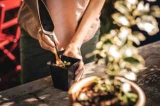 Fiskars trapiantatore per semi Fiskars trapiantatore per semi