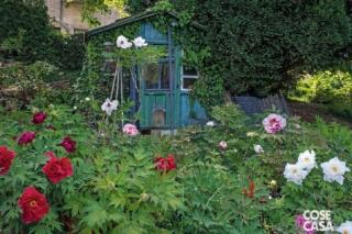 La Montà di Susanna Tavallini