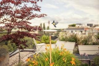 Piscina per uccelli ClickUp Gardena Piscina per uccelli ClickUp Gardena